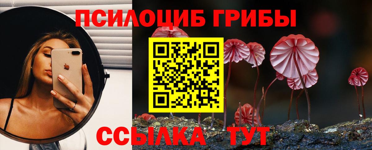 Галлюциногенные грибы Cubensis Богородск