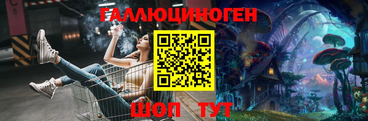 Богородск  Галлюциногенные грибы GOLDEN TEACHER  Вход с VPN 
