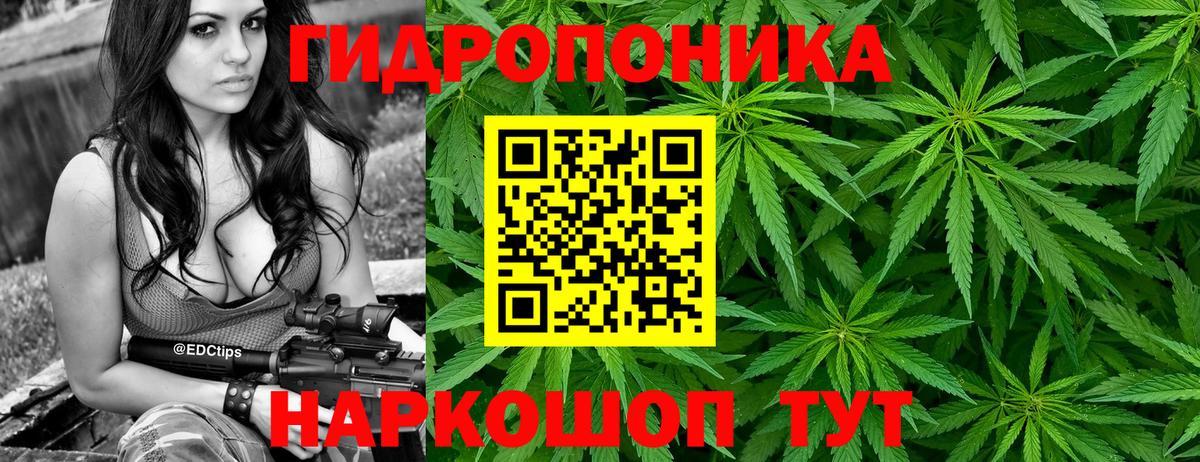 Конопля семена Богородск